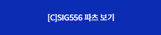 [C]SIG556 파츠보기