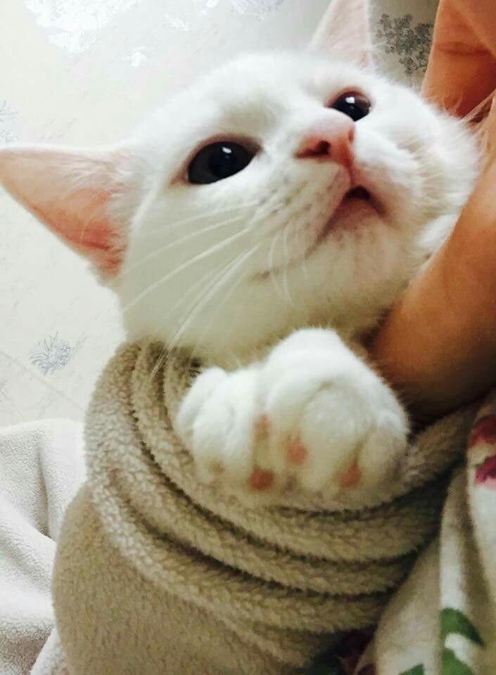 프로필