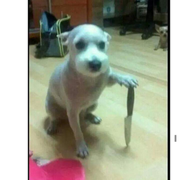 프로필