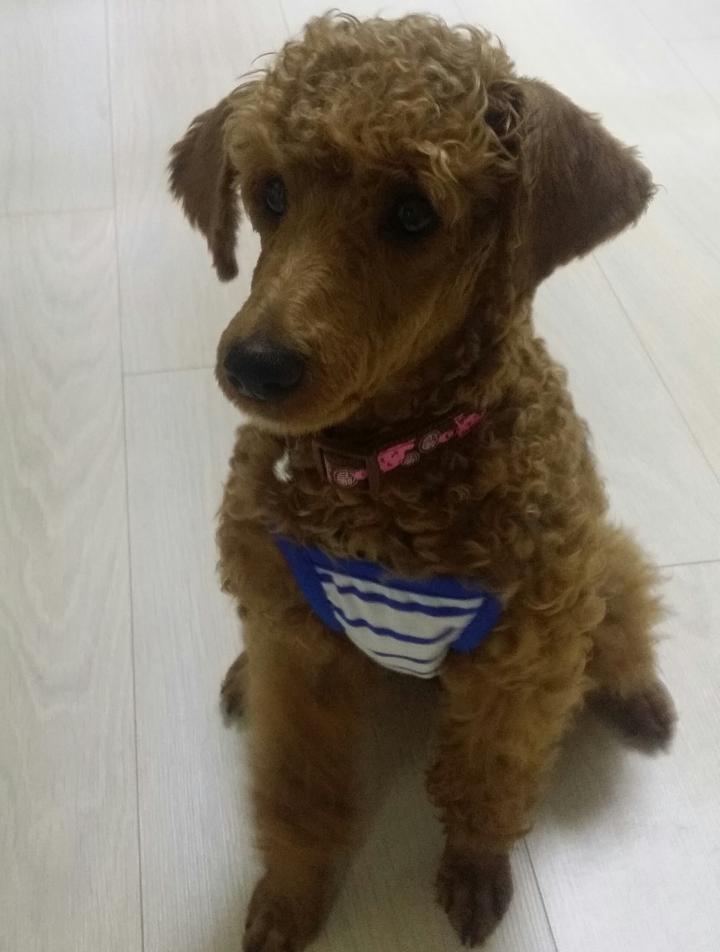 프로필
