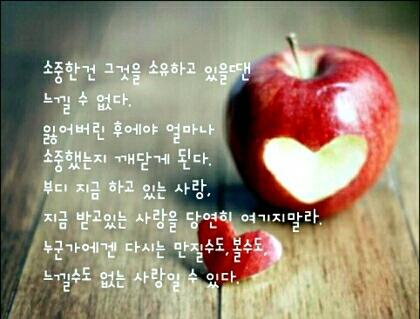 프로필