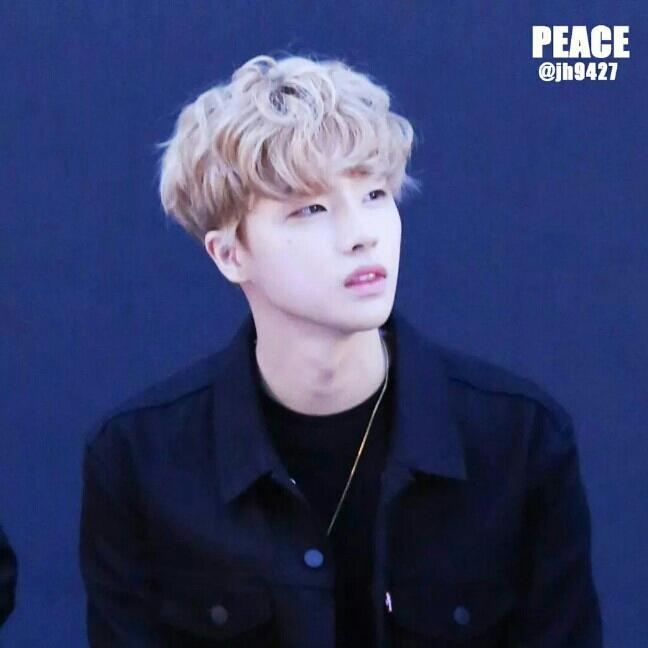 프로필