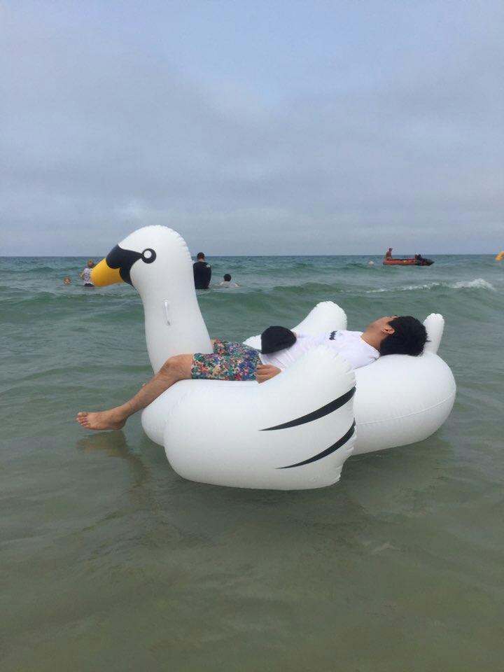 프로필