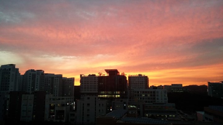 프로필