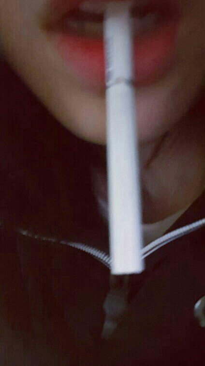 프로필