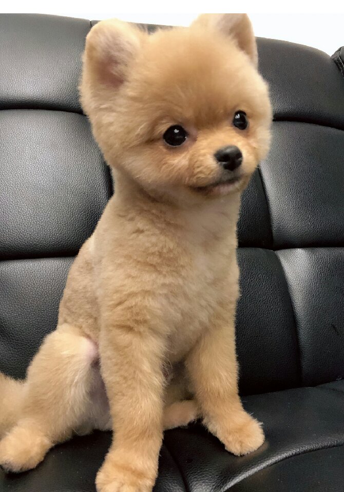 프로필