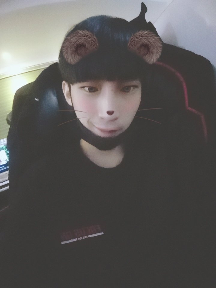 프로필