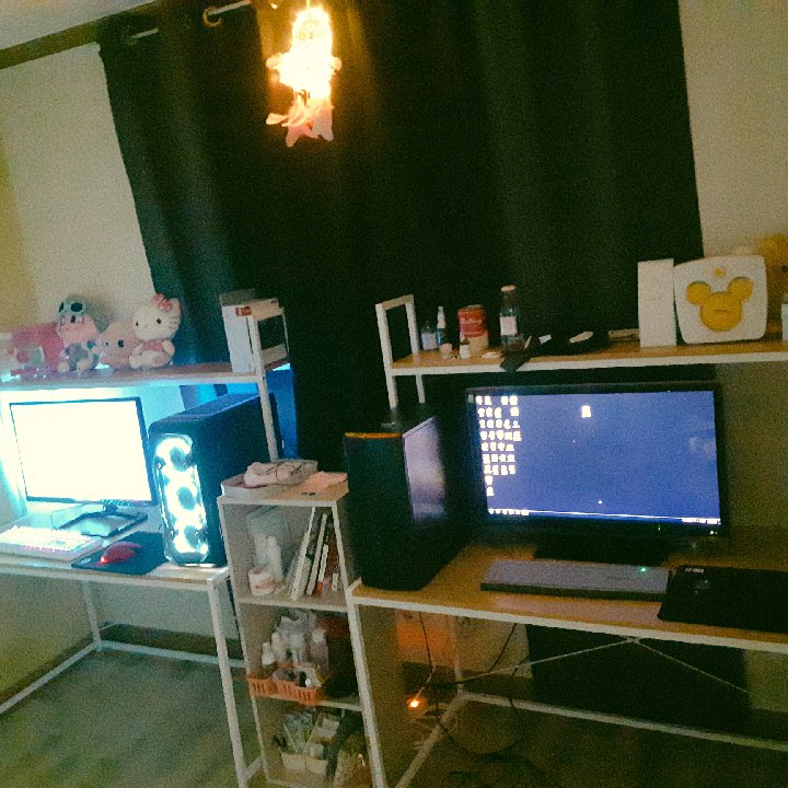 프로필