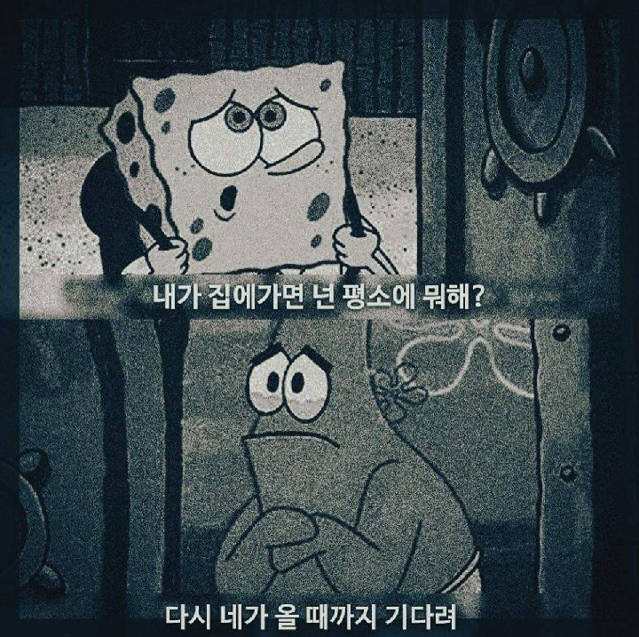프로필