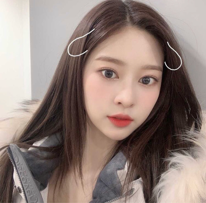프로필