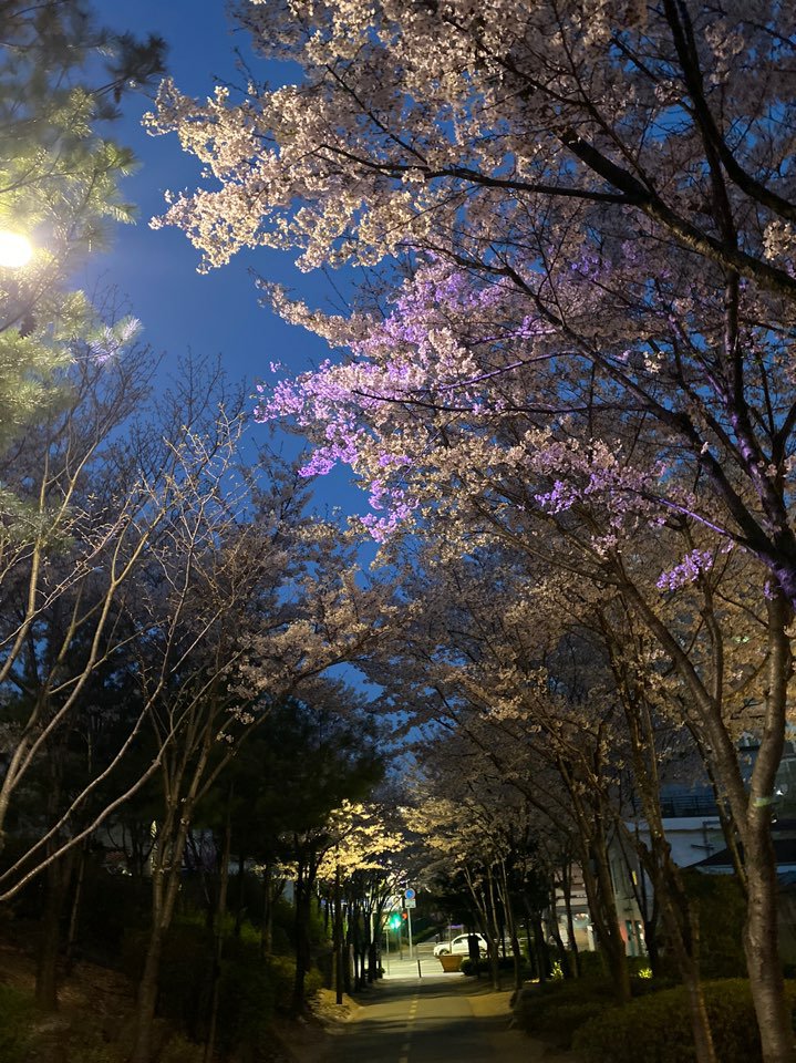 프로필