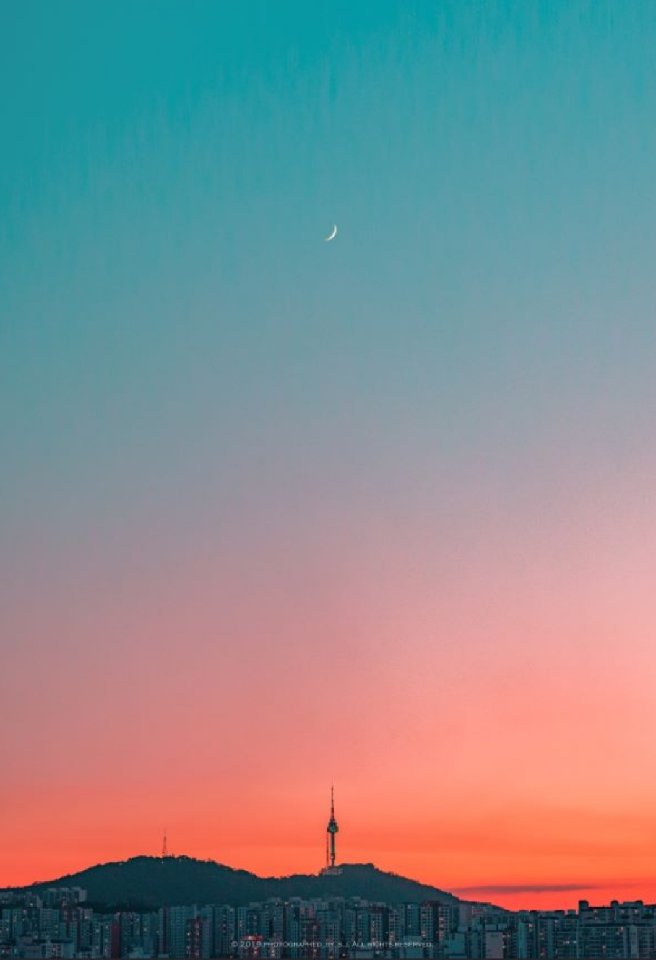 프로필