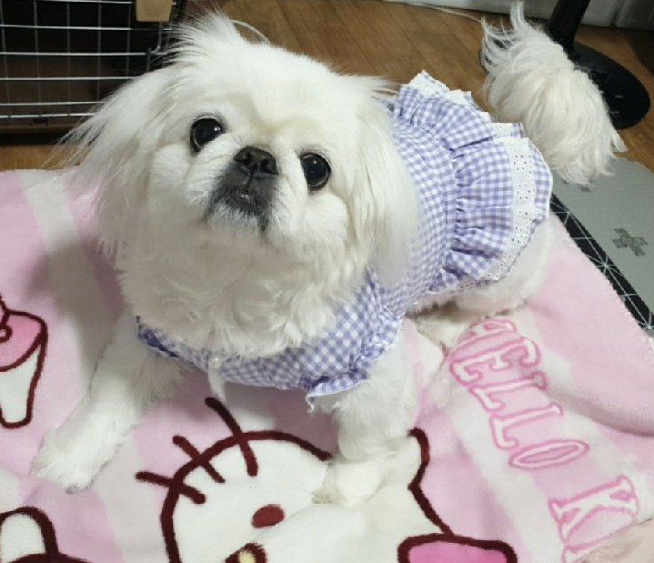 프로필