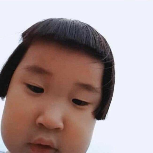 내사진