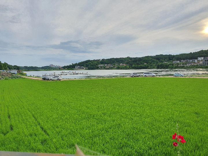 프로필
