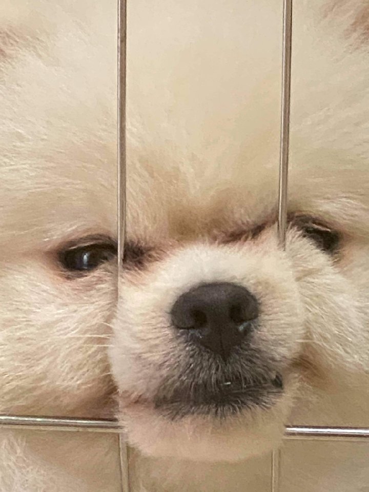프로필