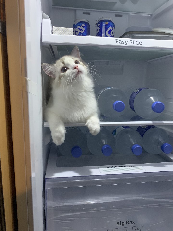 프로필