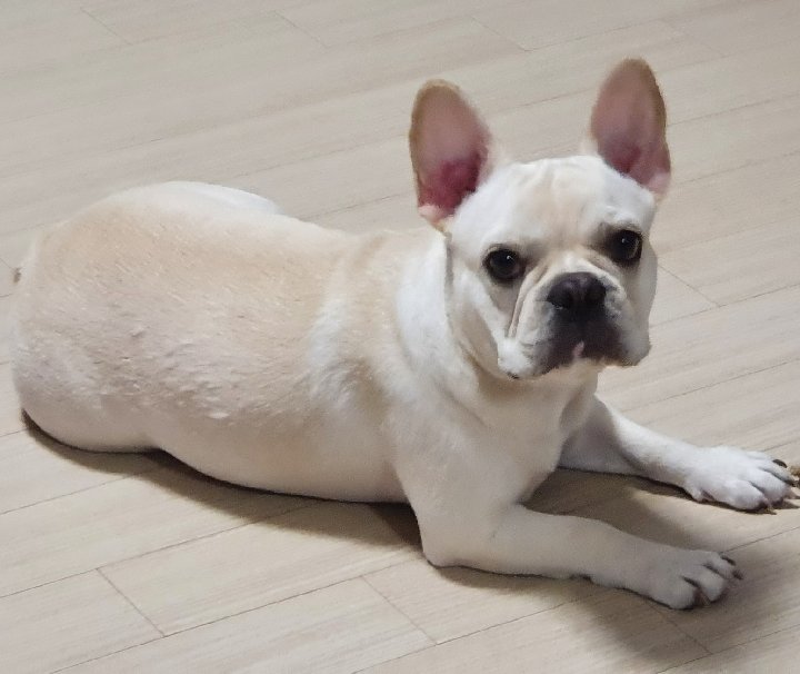 프로필