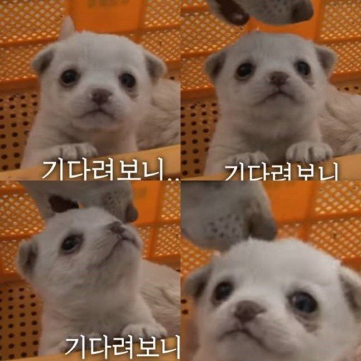 프로필
