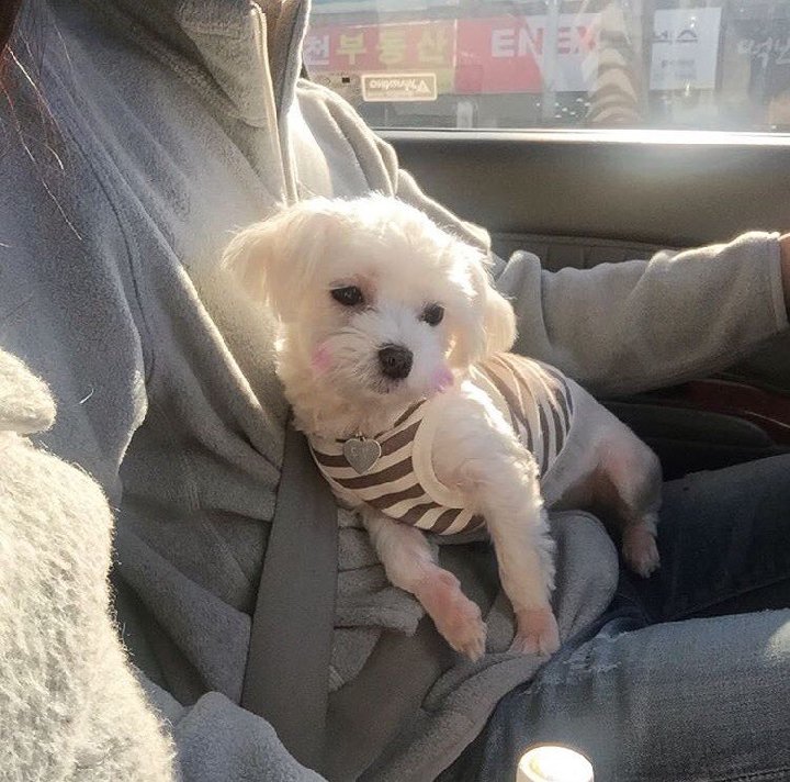 프로필