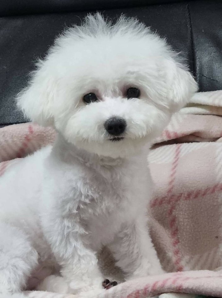 프로필
