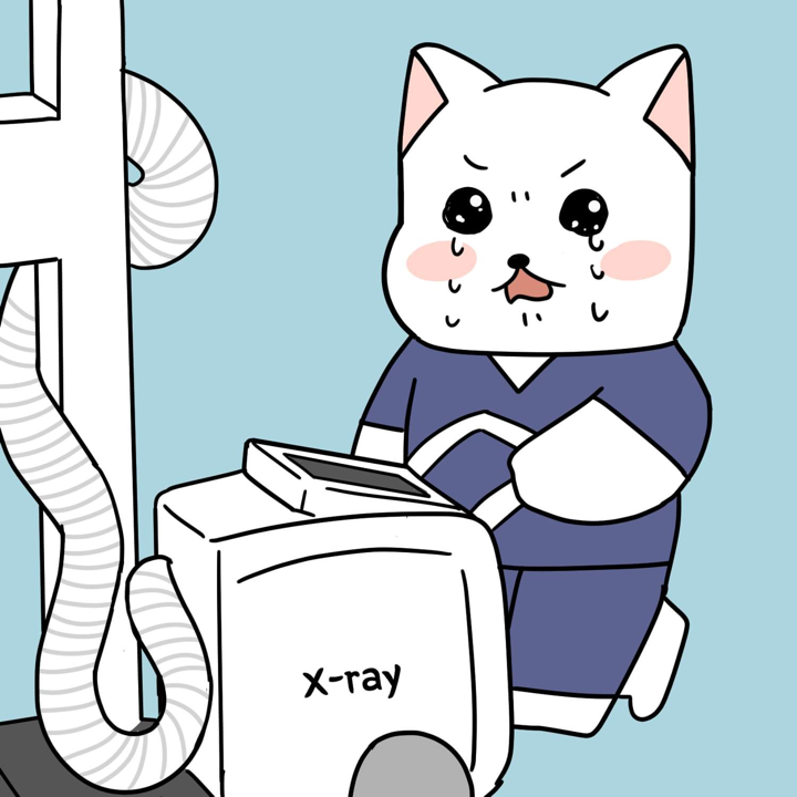 프로필