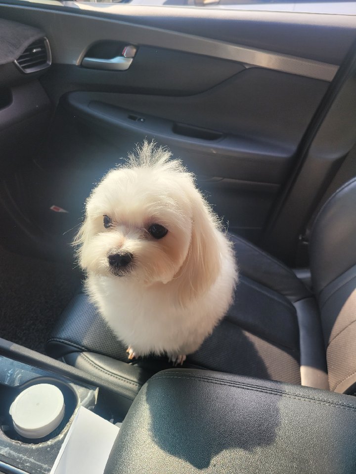 프로필