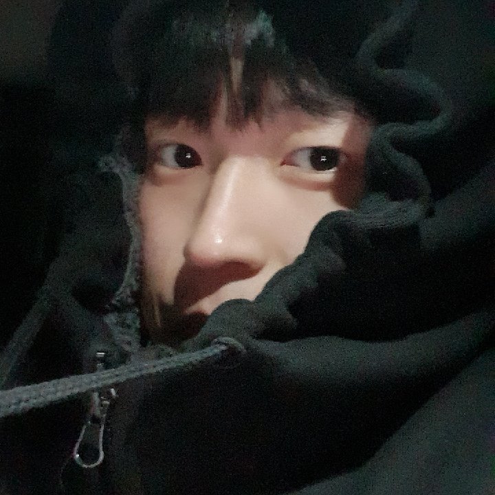 프로필