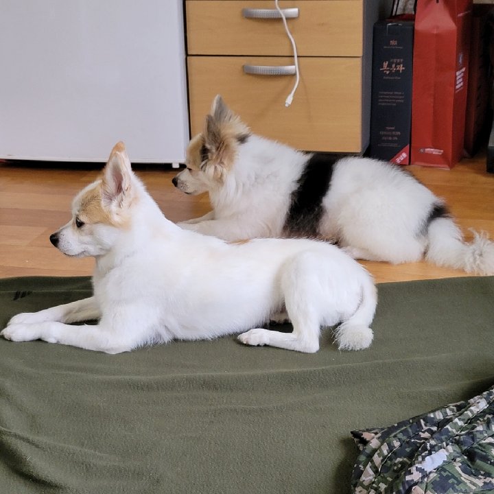 프로필