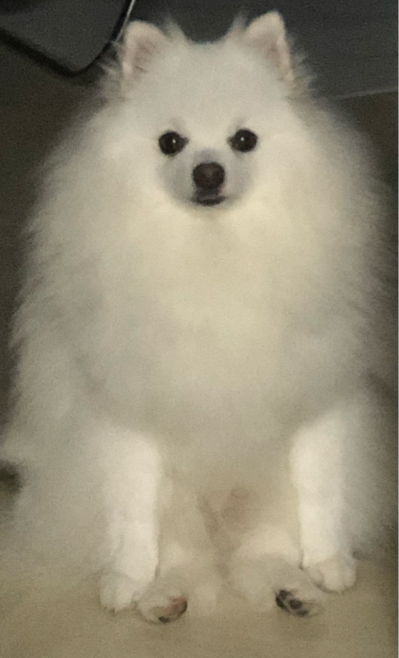프로필