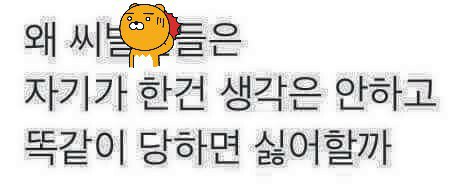 프로필