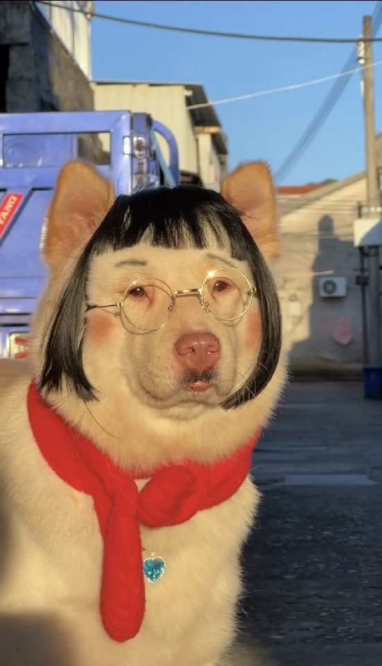 프로필