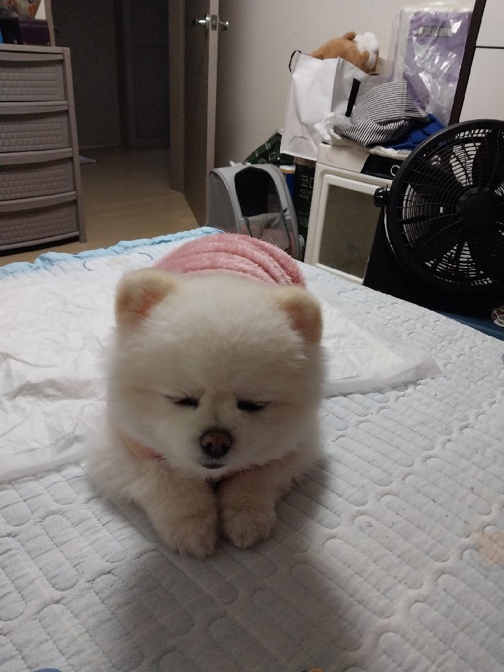 프로필