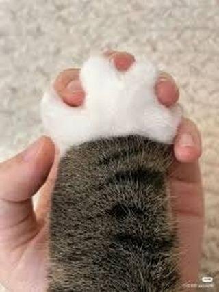 내사진