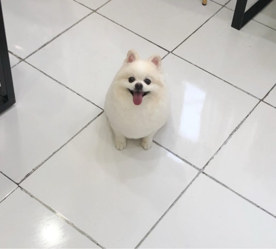 프로필