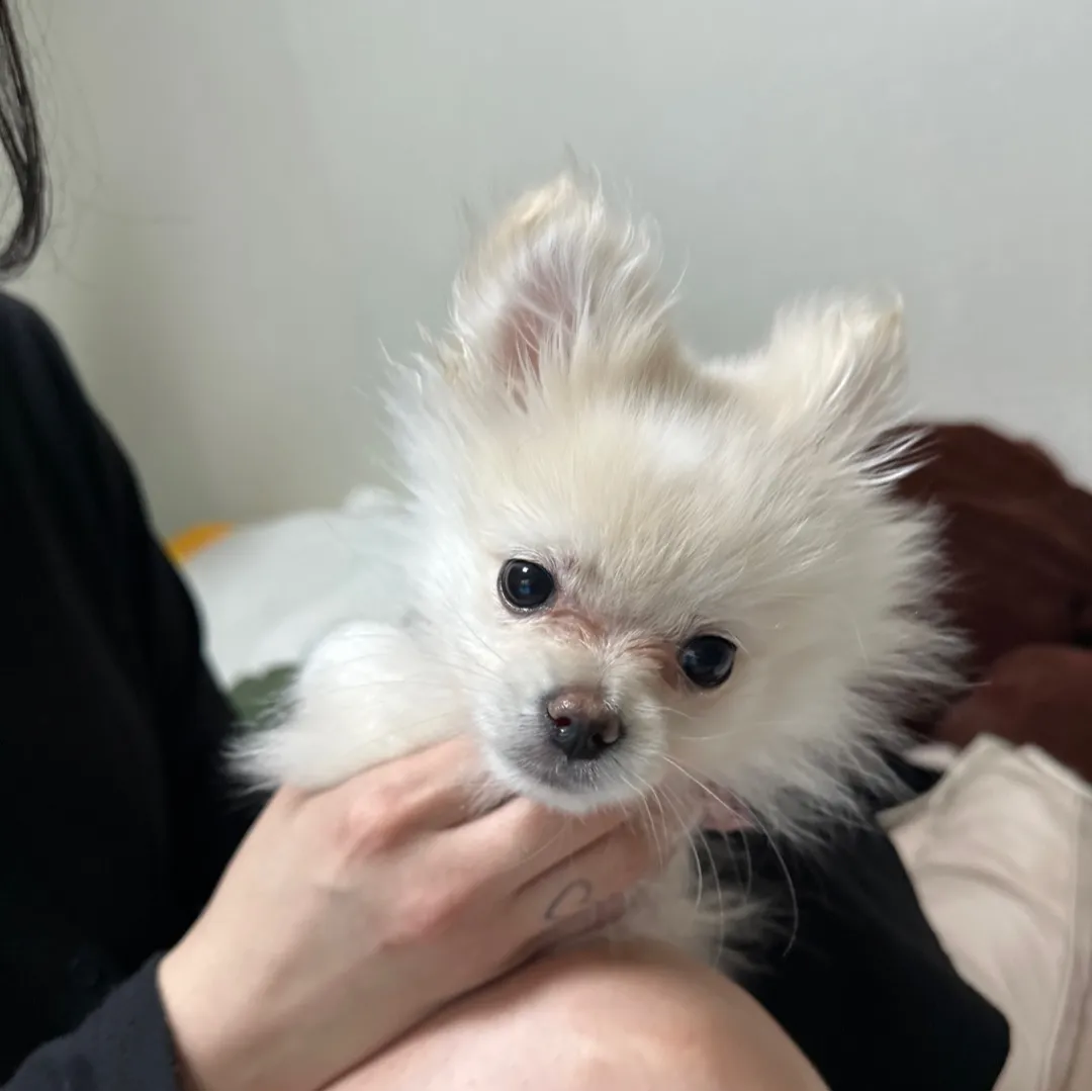 프로필