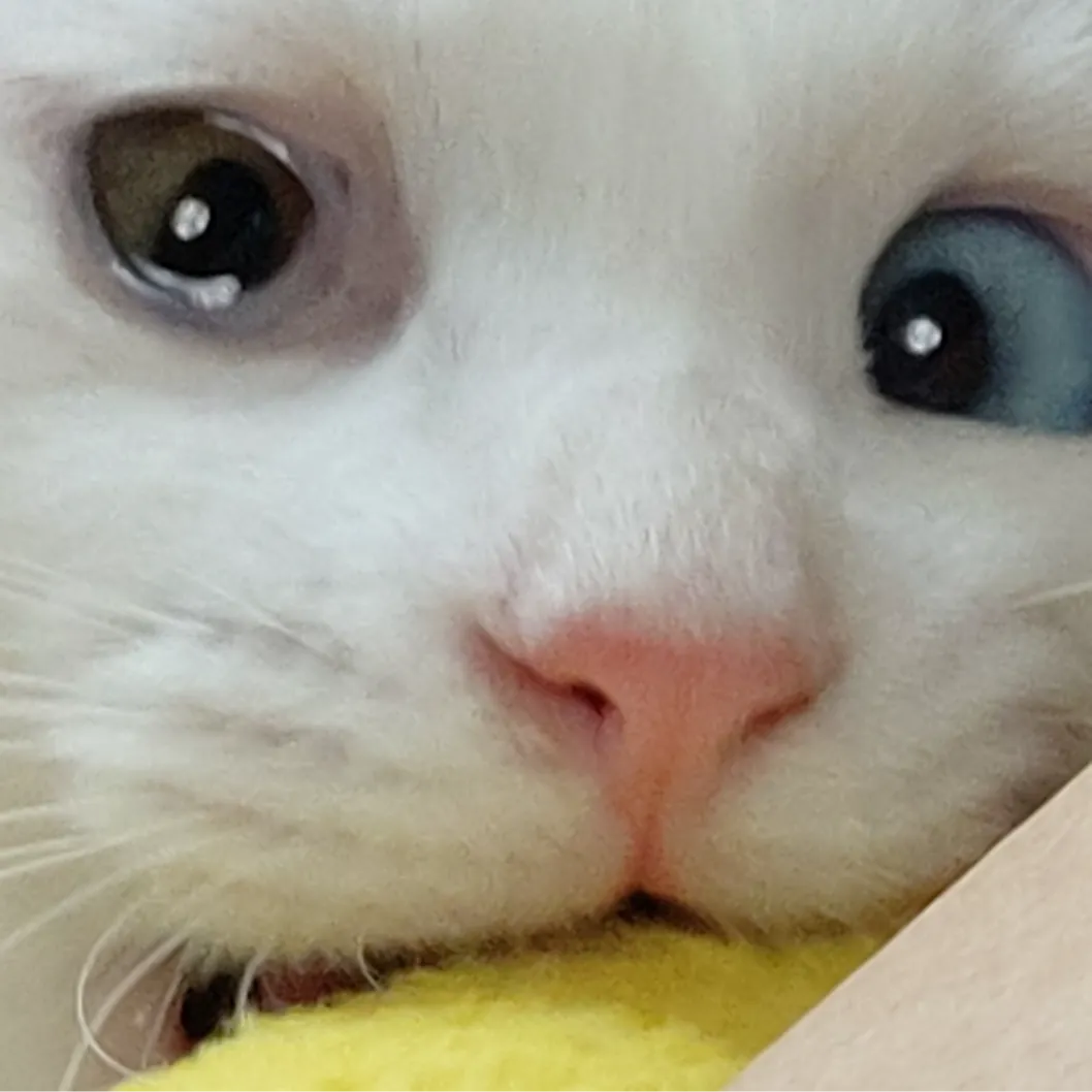 프로필
