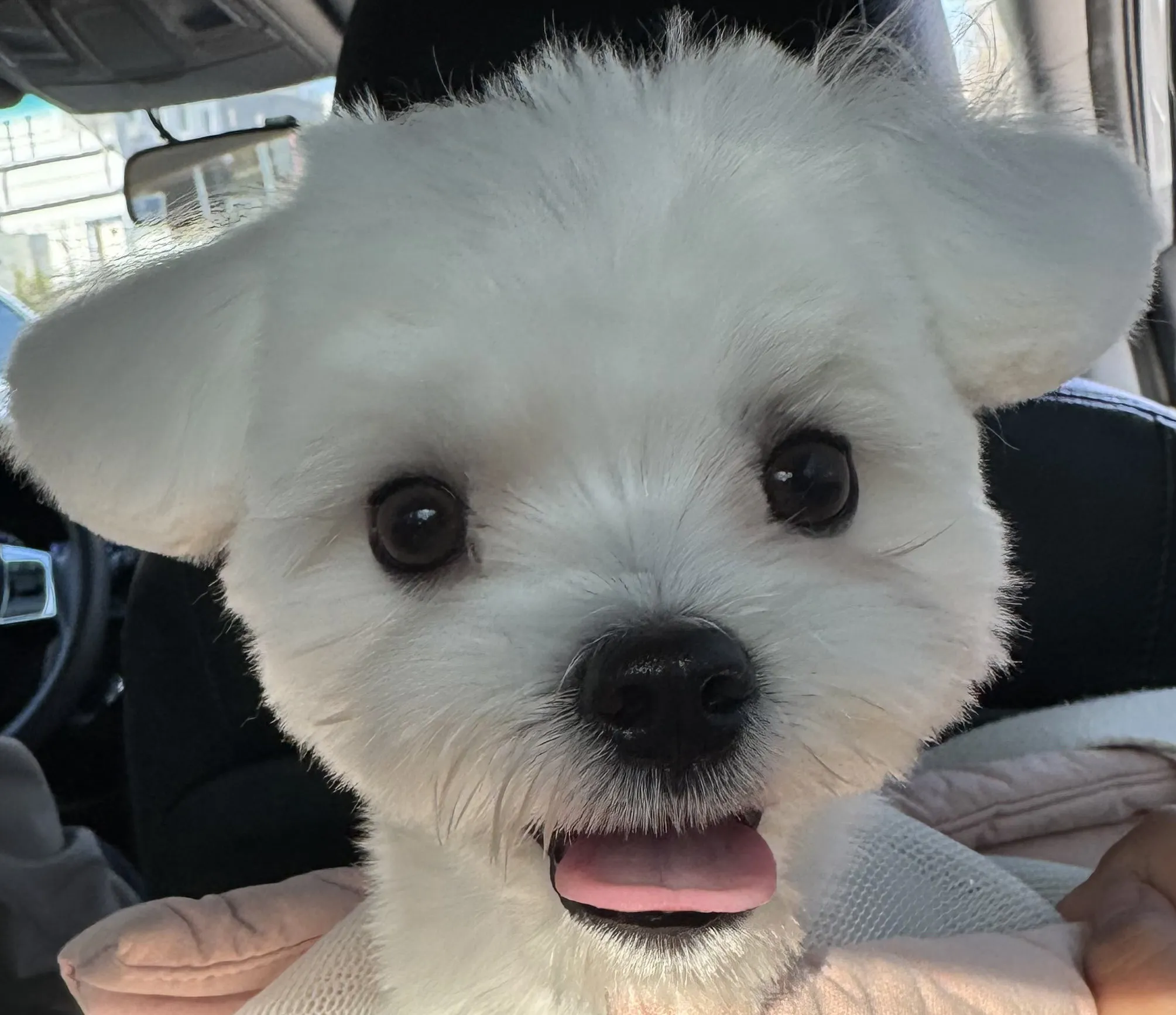 프로필