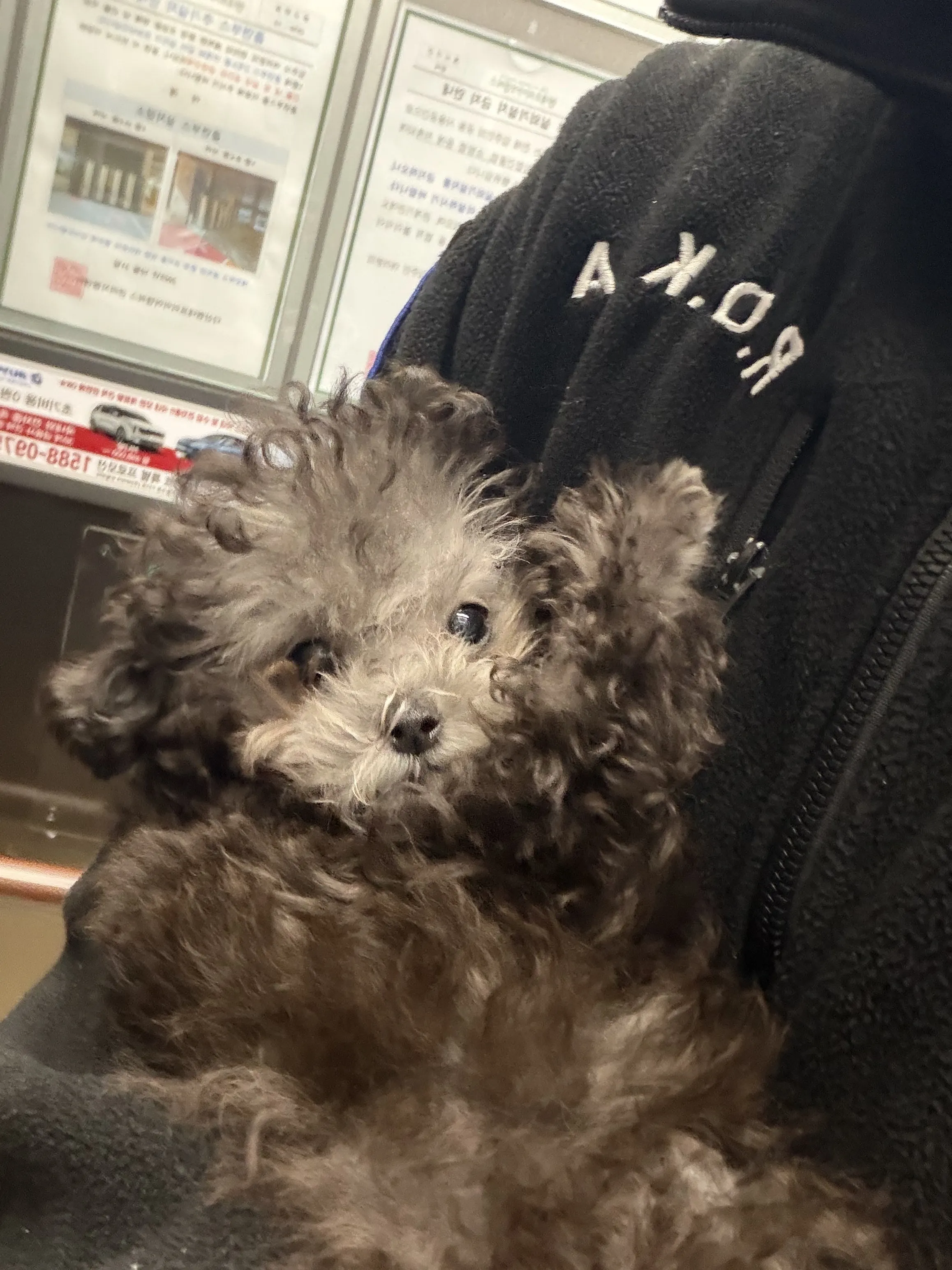 프로필
