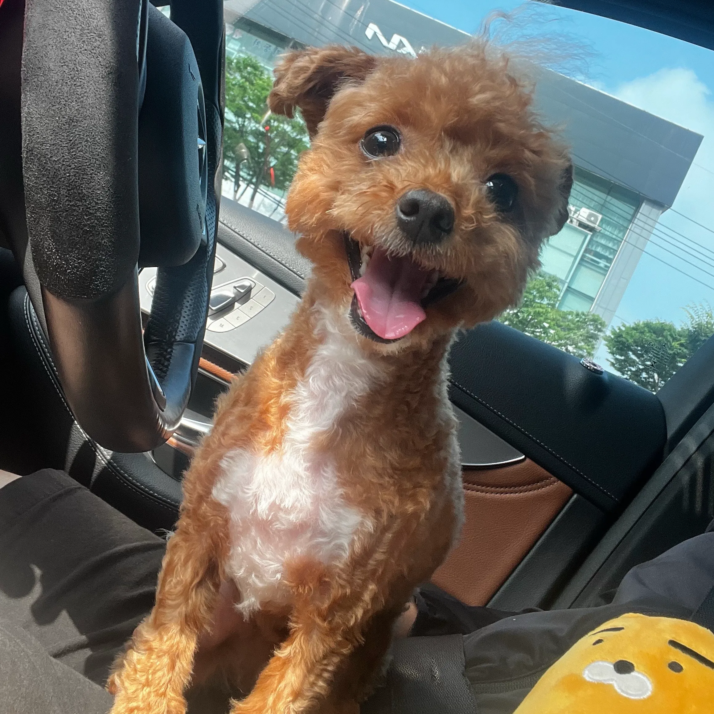 프로필