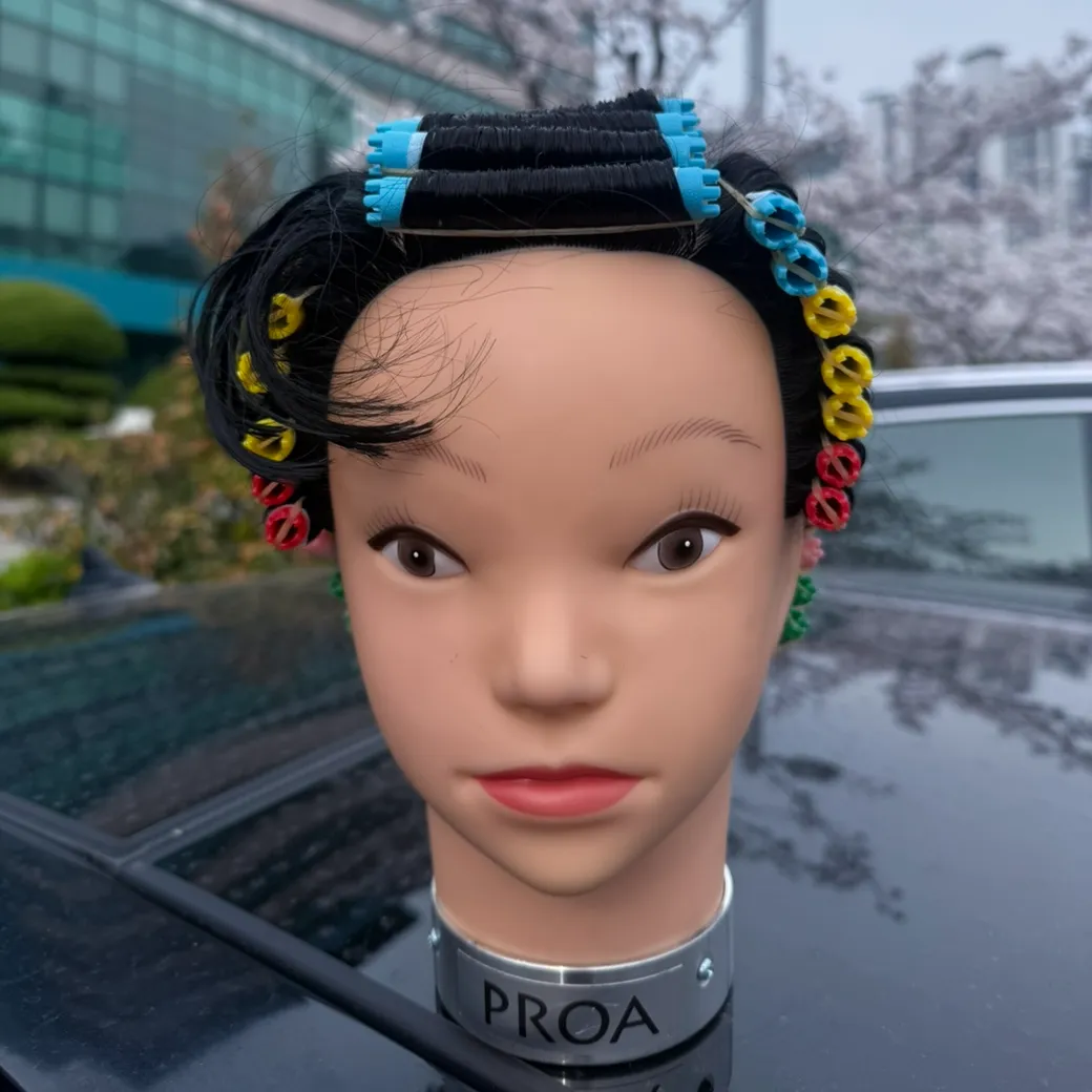 프로필