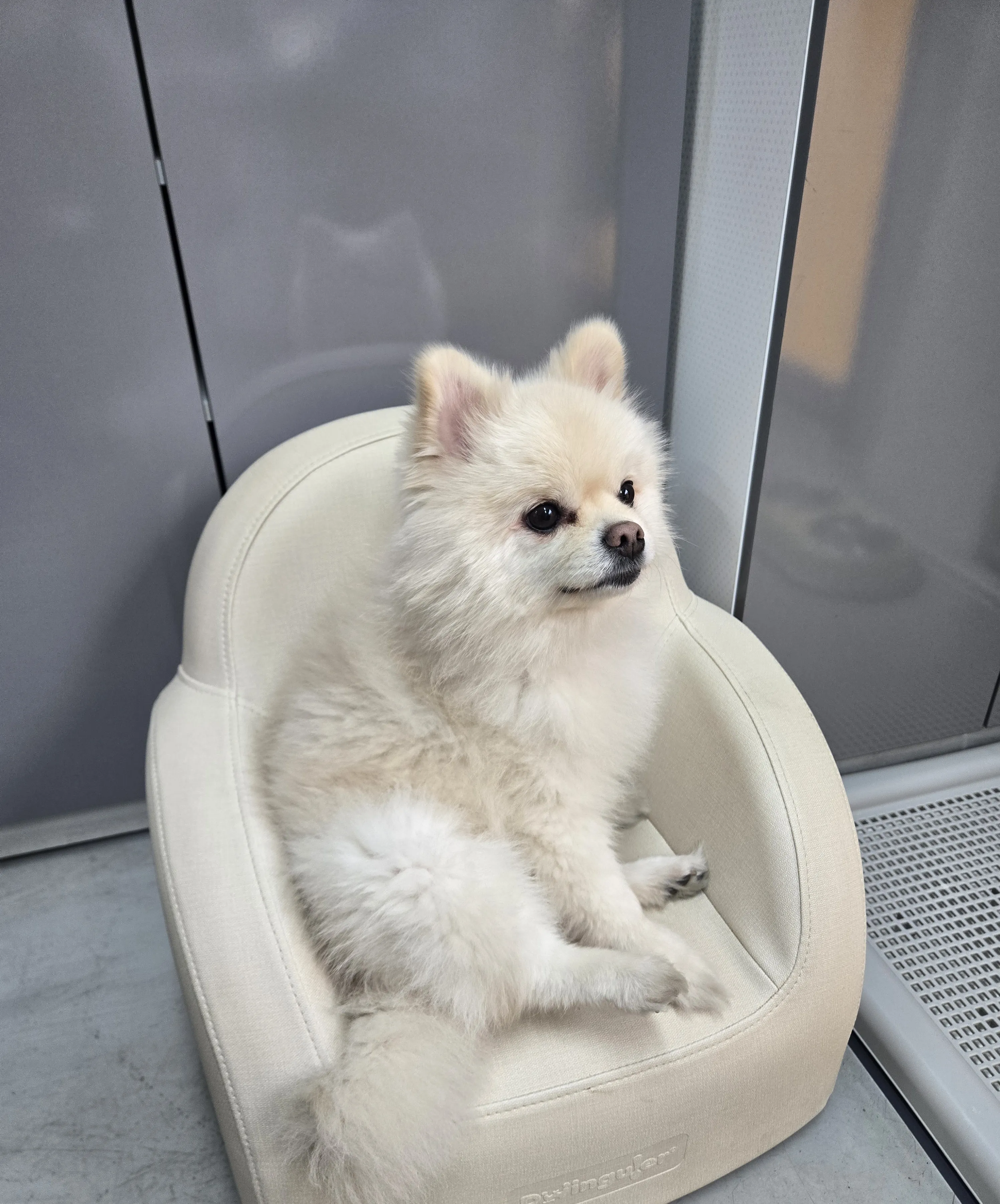 프로필