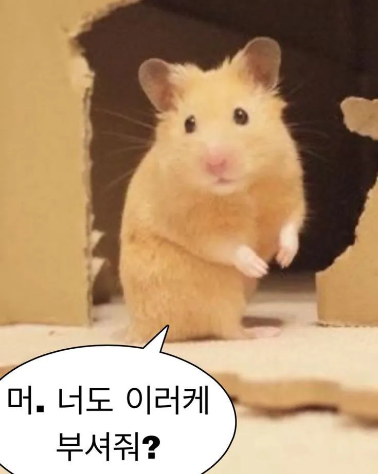 프로필