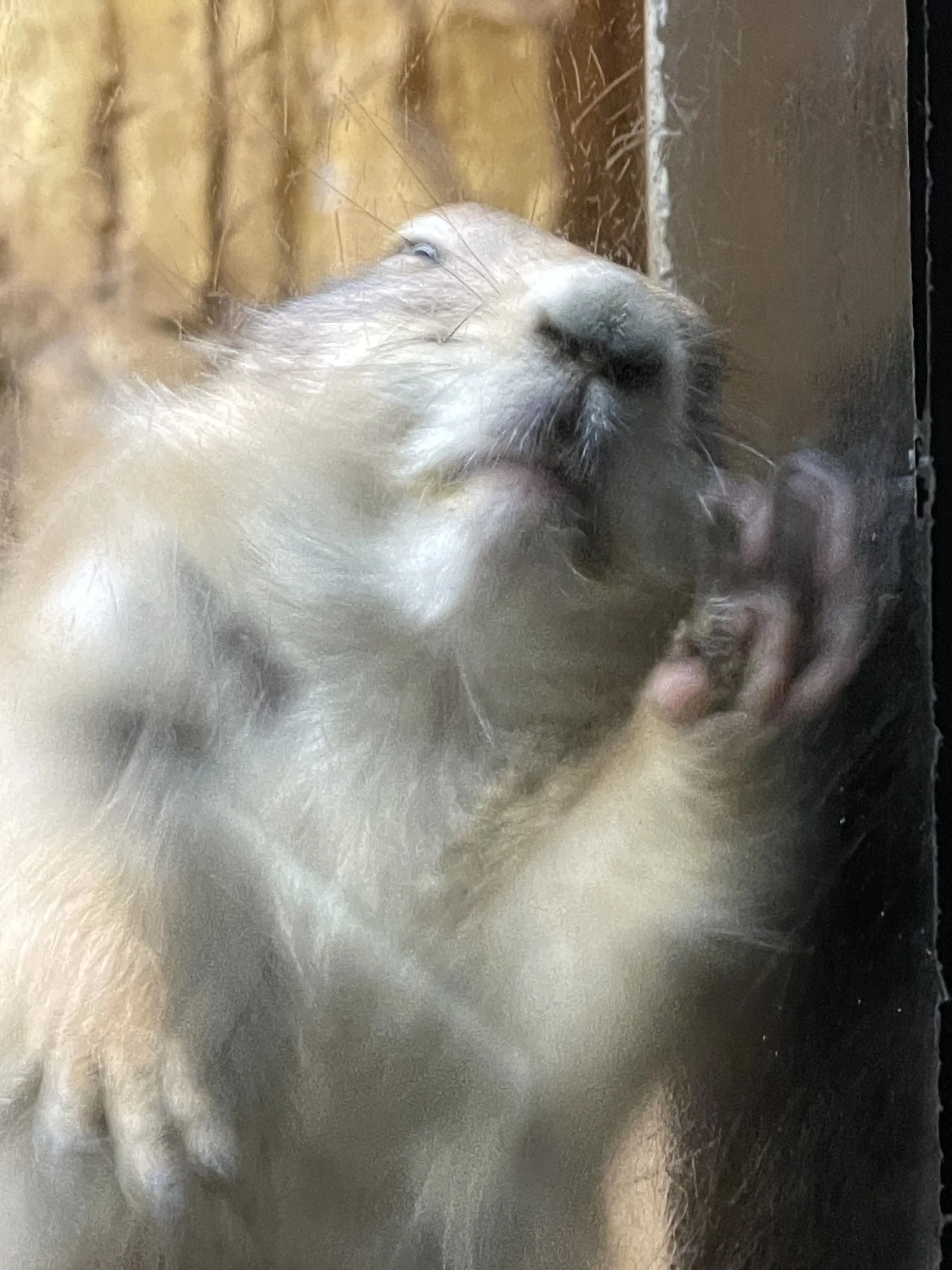 프로필