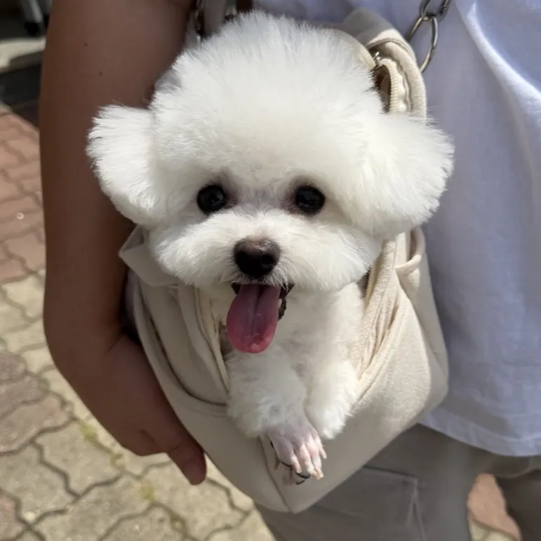 프로필