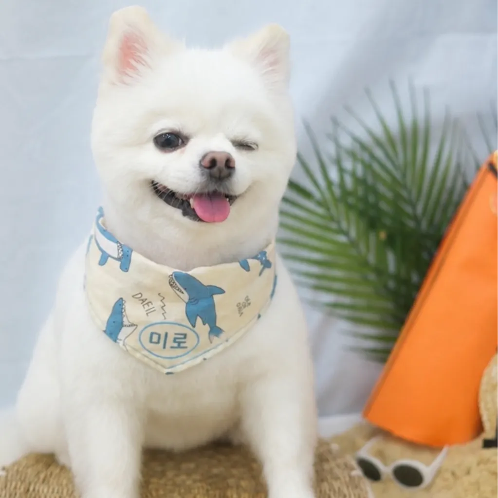 프로필