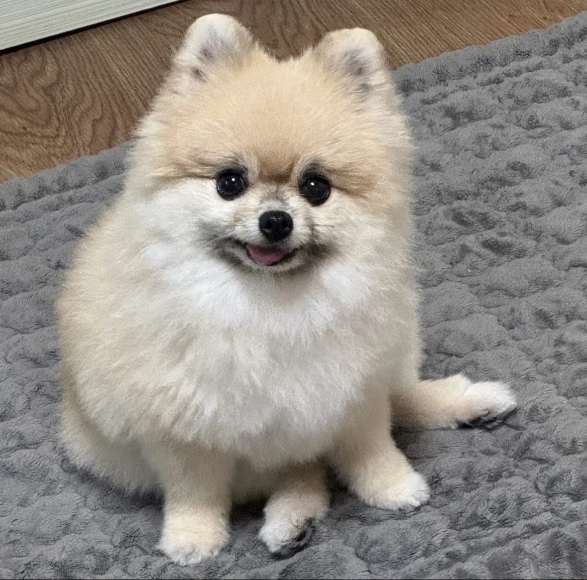 프로필