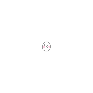 내사진