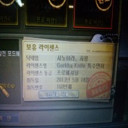 내사진