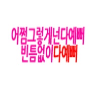 내사진
